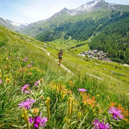 Petit Dru - Mezzanine With Mont Blanc Διαμέρισμα Σαμονί